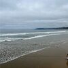 aubreywalls201